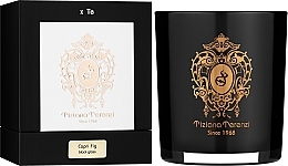 Tiziana Terenzi Capri Fig - Perfumed Candle — photo N16