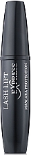 Lash Mascara - Karaja Lash Lift Express Mascara — photo N1