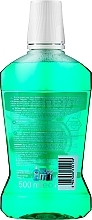 Mouthwash - Dentica Dental Protection Mint Fresh — photo N2