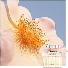 Chloé - Eau de Parfum — photo N13