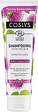 Fragrances, Perfumes, Cosmetics Organic Peppermint Shampoo for Oily Hair - Coslys Shampoo with organic peppermint