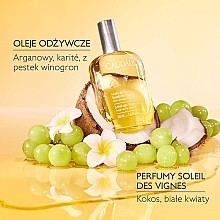 Caudalie Soleil Des Vigne - Body Oil — photo N6