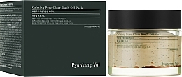 Clay Face Mask - Pyunkang Yul Calming Pore Clear Wash Off Pack — photo N10