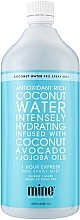 Tanning Mist - MineTan 1 Hour Tan Coconut Water Pro Spray Mist — photo N1