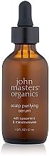 Fragrances, Perfumes, Cosmetics Scalp Cleansing Serum - John Masters Organics Scalp Purifying Serum