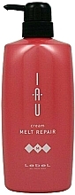 Melting Texture Moisturizing Aroma Cream for Hair - Lebel IAU Cream Melt Repair — photo N6
