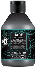 Lamellar Shampoo - Black Professional Line Black Jade Supreme Solution Shampoo — photo N1