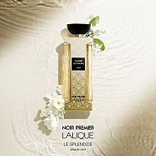 Lalique Noir Premier Plume Blanche 1901 - Eau de Parfum — photo N28