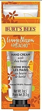 Fragrances, Perfumes, Cosmetics Hand Cream - Burt's Bees Orange & Pistachio Hand Cream