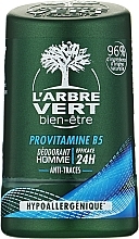 Men Deodorant with Provitamin B5 - L'Arbre Vert Deodorant — photo N3