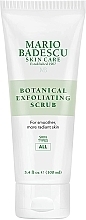 Fragrances, Perfumes, Cosmetics Cleansing Face Scrub - Mario Badescu Botanical Exfoliating Scrub