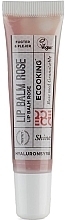 Fragrances, Perfumes, Cosmetics Lip Balm - Ecooking Lip Balm