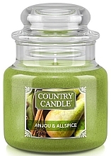 Fragrances, Perfumes, Cosmetics Scented Candle in a Jar - Country Candle Anjou & Allspice