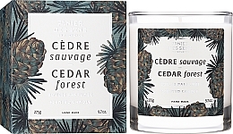 Scented Candle in Glass "Cedar Forest" - Panier Des Sens Scented Candle Cedar Forest — photo N7