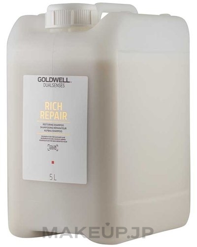 Repair Shampoo - Goldwell DualSense Rich Repair Shampoo — photo 100 ml