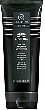 Fragrances, Perfumes, Cosmetics Collistar Acqua Attiva Assoluta Doccia-Shampoo - Shampoo-Shower Gel