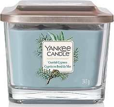 Scented Candle - Yankee Candle Elevation Coastal Cypress — photo N8
