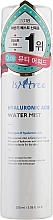 Hydrating Hyaluronic Face Mist - Isntree Hyaluronic Acid Mist — photo N1