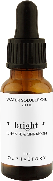 Water-Soluble Oil - Ambientair The Olphactory Orange And Cinnamon Water Soluble Oil — photo N1