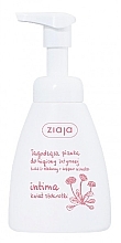 Chamomile Intimate Wash Foam - Ziaja Intima Foam — photo N1