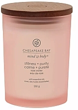 Scented Candle 'Stillness & Purity' - Chesapeake Bay Candle — photo N2