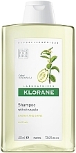 Fragrances, Perfumes, Cosmetics Tone-Up Shine Citrus Pulp Shampoo - Klorane Shampoo With Citrus Pulp