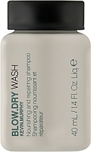 Fragrances, Perfumes, Cosmetics Nourishing and Restoring Thermal Protection Shampoo - Kevin Murphy Blow.Dry Rinse (mini)