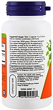 Astragalus Extract, 500mg, capsules - Now Foods Astragalus Extract — photo N7