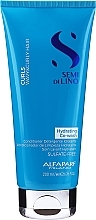 Fragrances, Perfumes, Cosmetics Hydrating Co-Wash Conditioner for Curly Hair - Alfaparf Semi Di Lino Curls Hydrating Co-Wash Conditioner