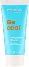 Fragrances, Perfumes, Cosmetics Shampoo - AA Fit.Friends Cooling Shampoo 