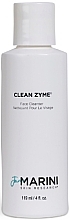 Face Cleansing & Renewing Enzyme Gel with Papaine - Jan Marini Clean Zyme — photo N1