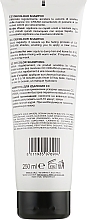 Decolor Shampoo - Brelil Professional Colorianne CC Decolour Shampoo — photo N19