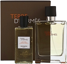 Fragrances, Perfumes, Cosmetics Hermes Terre dHermes - Set (edt/100ml + sh/g/80ml)