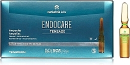 Firming Anti-Wrinkle Ampoules - Cantabria Labs Endocare Tensage Ampoules — photo N2