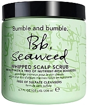 Scalp Scrub - Bumble and Bumble Seaweed Scalp Scrub — photo N1