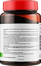 Mineral Phyto Concentrate "Magnesium Active. Mint" - Dr. Pirogov's Laboratory — photo N2