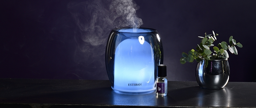 Esteban Perfume Mist Diffuser Silver Color Edition - Esteban Perfume Mist Diffuser Silver Color Edition — photo N2