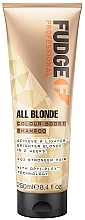 Shampoo for Blonde Hair - Fudge Professional All Blonde Colour Boost Shampoo — photo N1