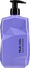 Conditioner for Blonde & Grey Hair - Nine Yards True Cool Silver Conditioner — photo N1