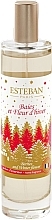 Fragrances, Perfumes, Cosmetics Esteban Berries And Winter Flower - Scented Home Spray