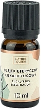 Fragrances, Perfumes, Cosmetics Essential Oil "Eucalyptus" - Nature Queen Essential Oil Eucalyptus