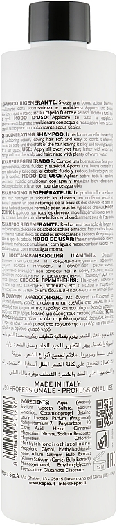 Regenerating Garlic Shampoo - KayPro All’Aglio Garlic Ajo Shampoo — photo N2