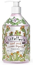 Fragrances, Perfumes, Cosmetics Liquid Hand Soap - Rudy Pantelleria Hand Wash 