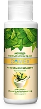 Natural Shampoo with Indian Healing Herbs for Dry & Damaged Hair - Comex Ayurvedic Natural — photo N2