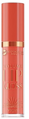 Lip Gloss - Bell Hypoallergenic Volume Lip Gloss — photo N1