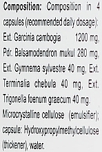 Dietary Supplement "AyurSlim" - Himalaya Herbals AyurSlim — photo N4