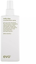 Texturizing Hair Spray - Evo Salty Dog Salt Spray — photo N2