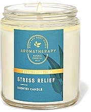 Fragrances, Perfumes, Cosmetics Scented Candle - Bath And Body Works Aromatherapy Eucalyptus Tea Scented Candle