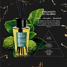 Calabrian Bergamot Fragrance Diffuser - Ambar Mikado Premium Calabrian Bergamot — photo N4