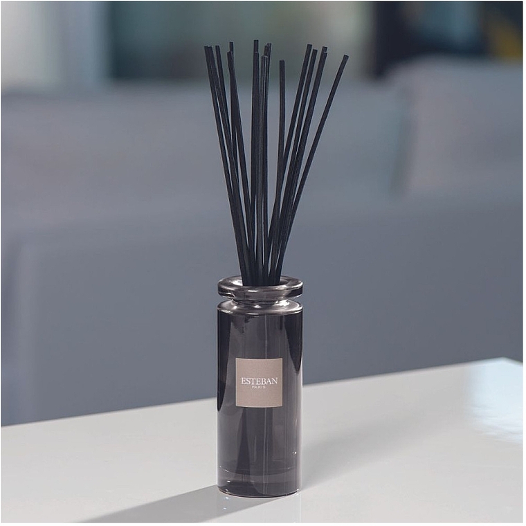 Esteban Esprit de The Initial - Fragrance Diffuser — photo N2